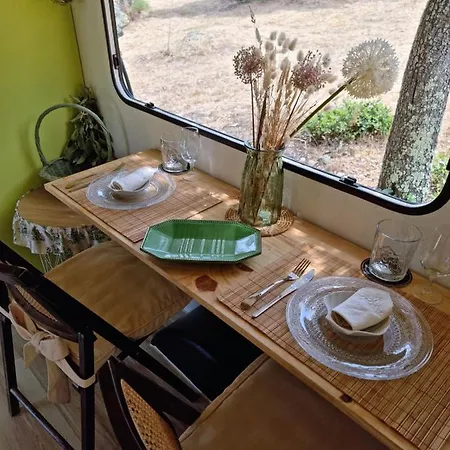 Cosy Caravane Campsite *